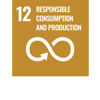 FN:s globala mål för hållbar utveckling 12 – Hållbar konsumtion och produktion 
