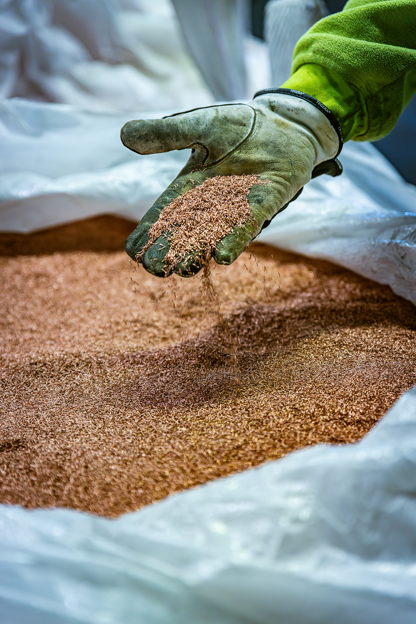 Climate Impact Report 2025 Stena Recycling Group (ENG)