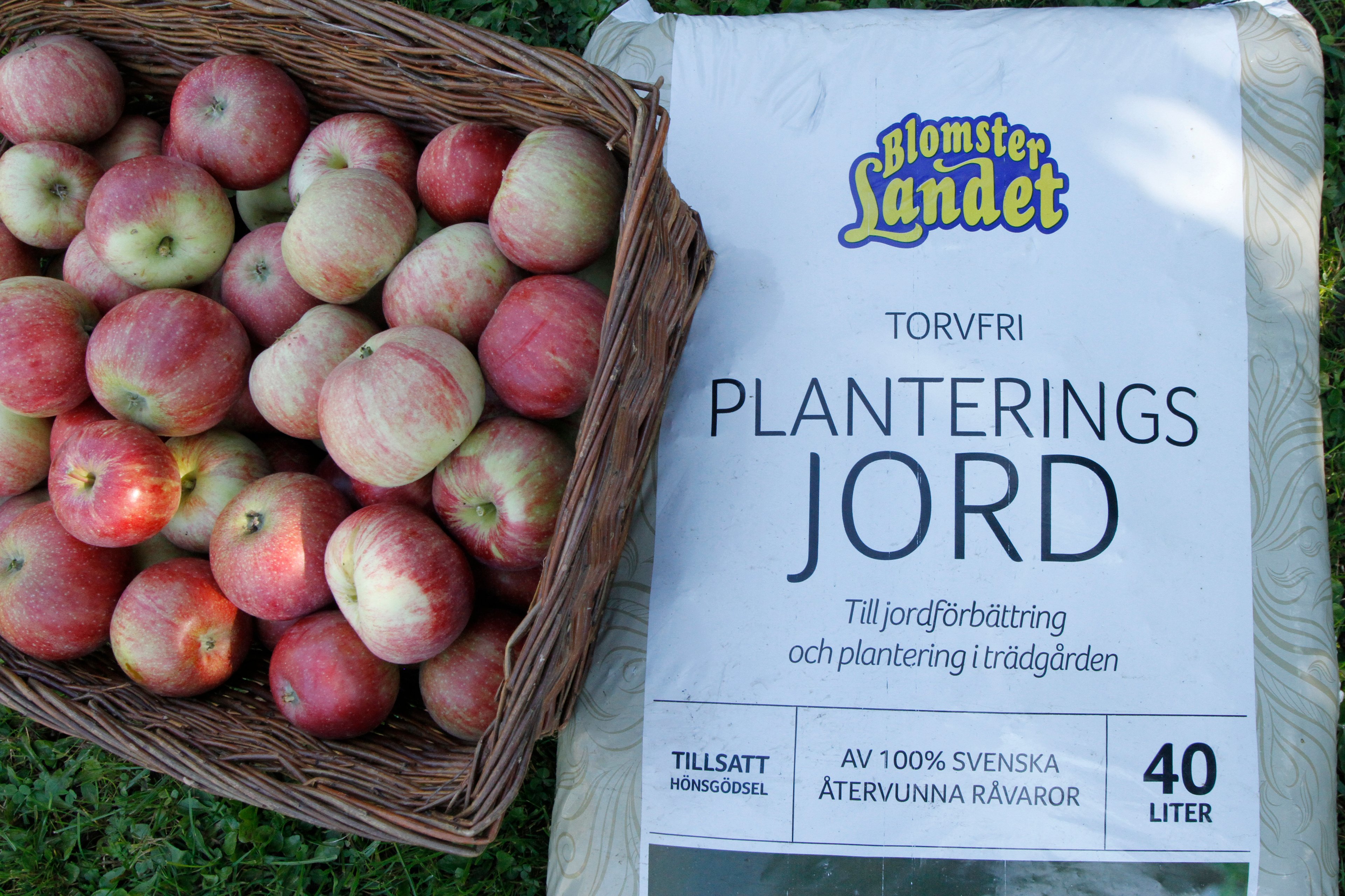 A basket of red apples sits beside a bag of growing soil made from recycled raw materials.