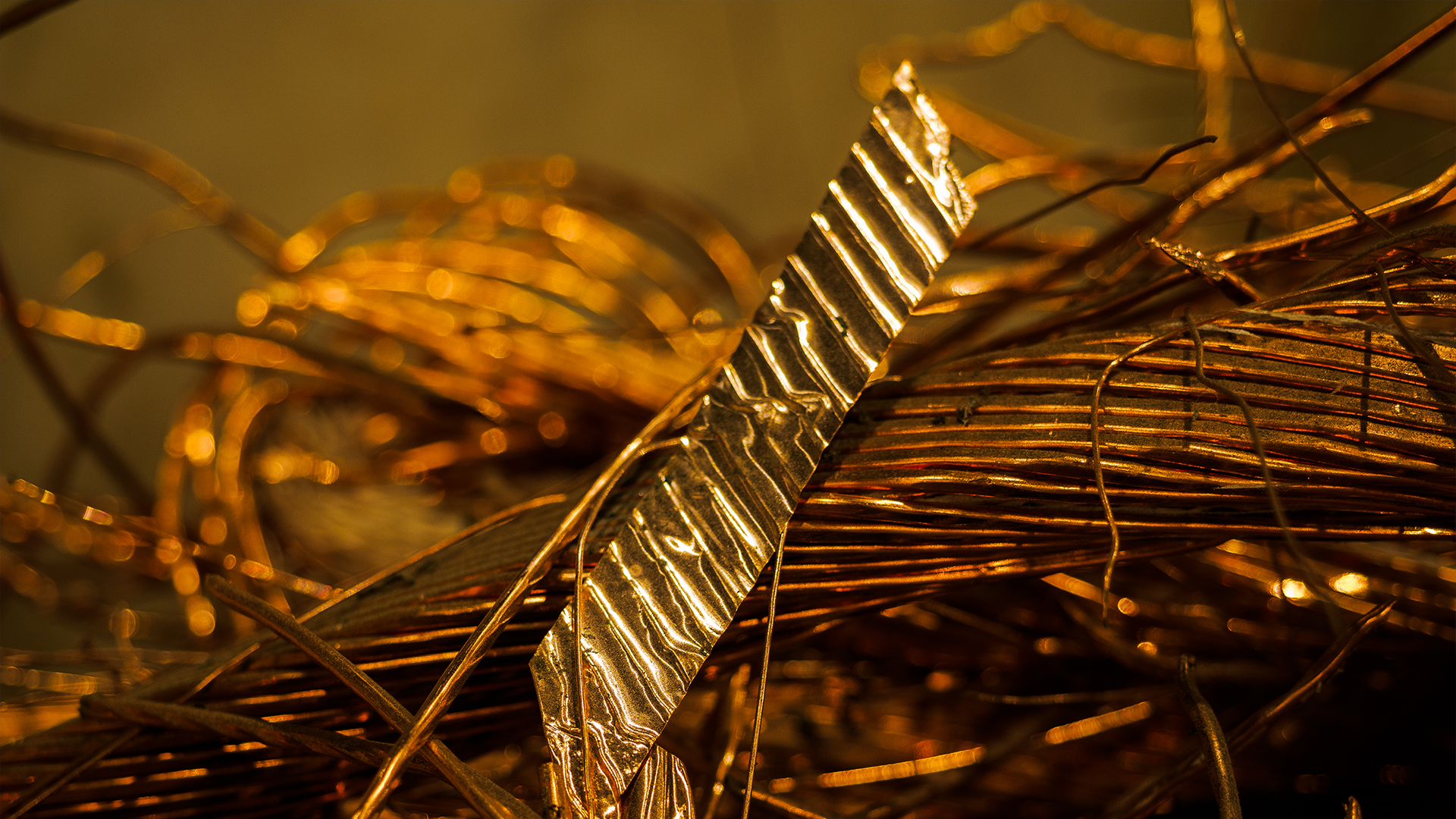 Annual report 2024/2025