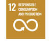 UN Sustainable Development Goal 12 – Responsible consumption and production 