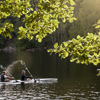 Två personer paddlar kanot på en svensk sjö när solen skiner.